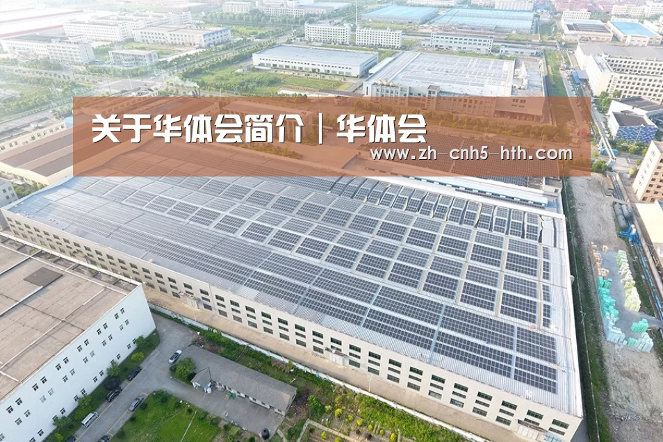 案例展示三