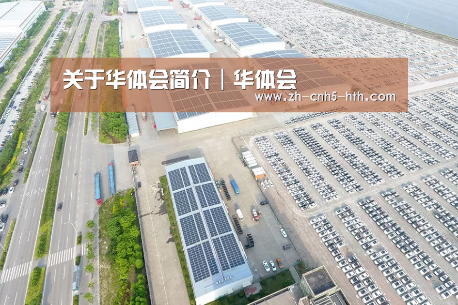 案例展示二