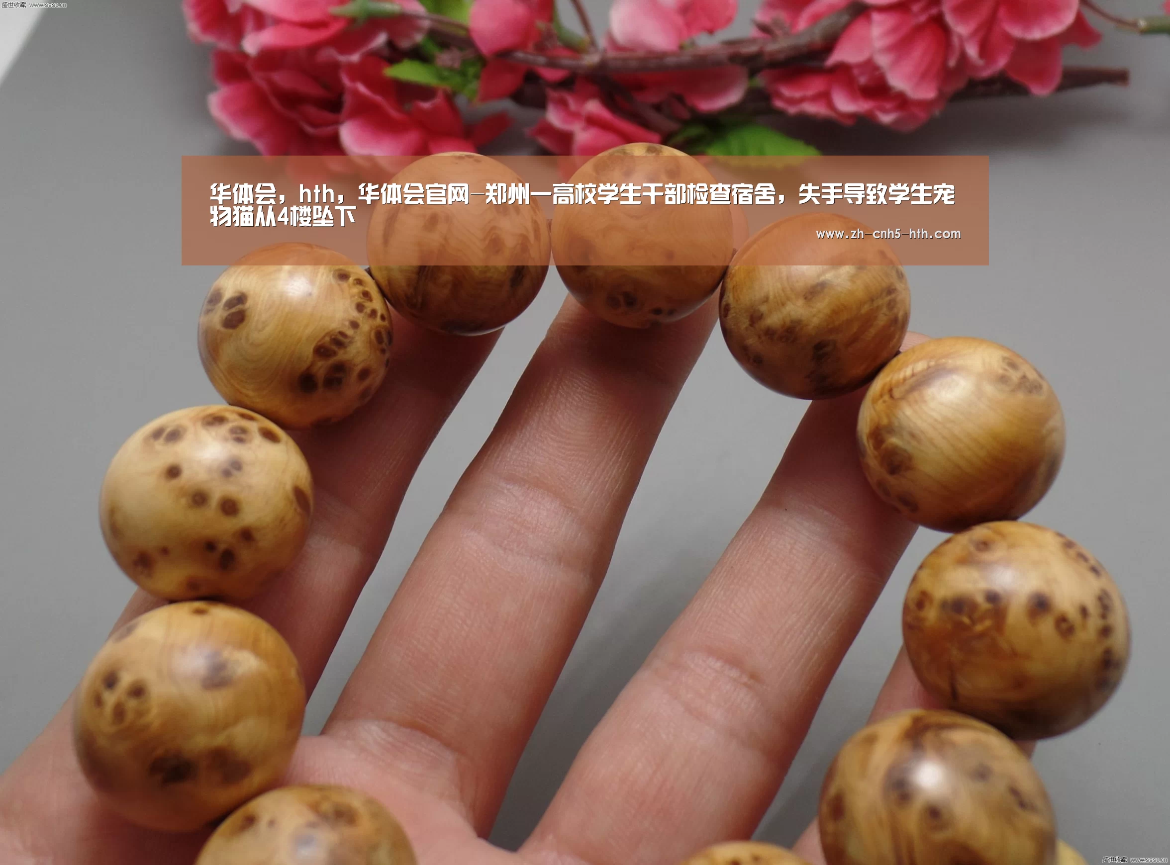 华体会，hth，华体会官网
