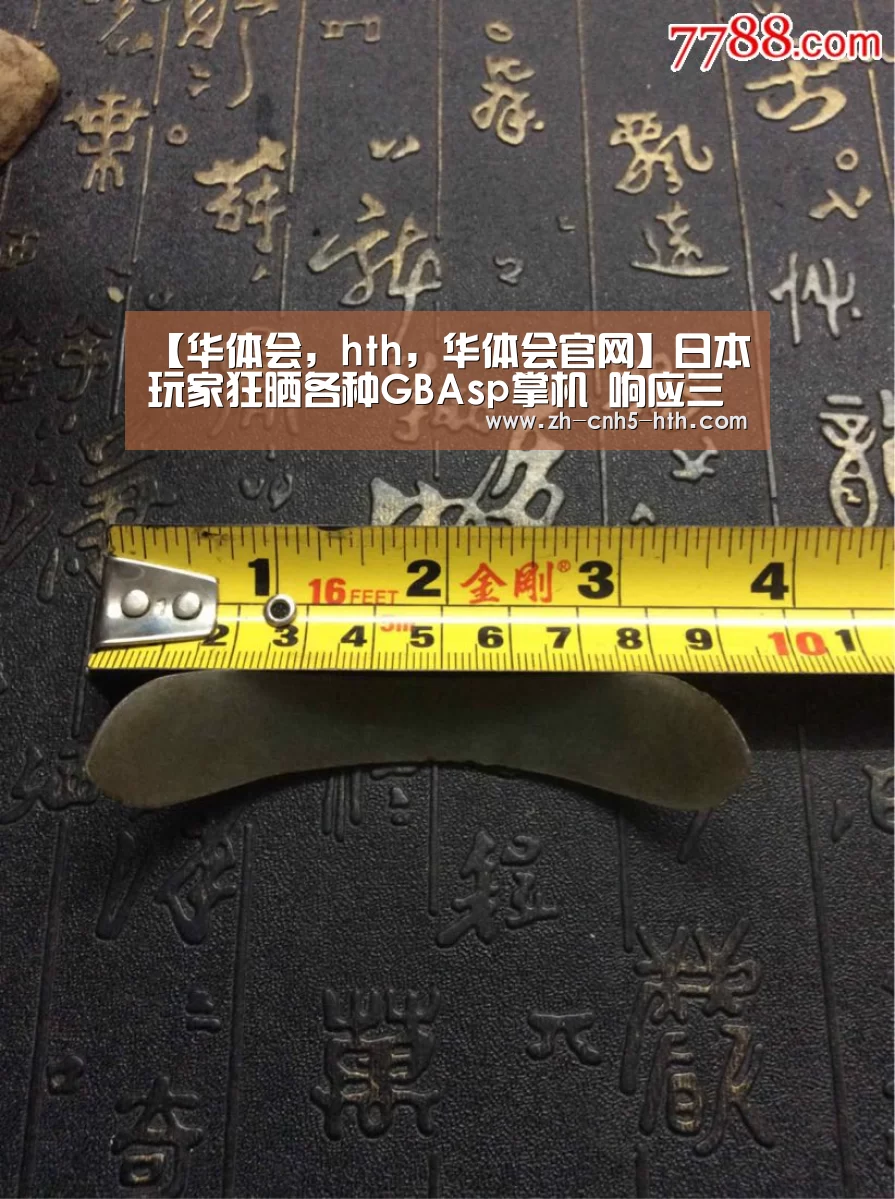 华体会，hth，华体会官网