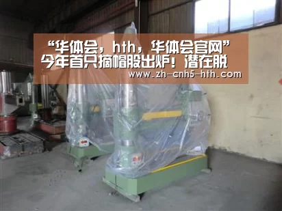 “华体会,hth,华体会官网”今年首只摘帽股出炉!潜在脱星摘帽股名单看过来 最大黑马已连续6涨停(图1) 华体会,hth,华体会官网