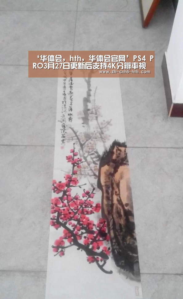 ‘华体会,hth,华体会官网’PS4 PRO3月27日更新后支持4K分辨率视频播放(图3) 华体会,hth,华体会官网