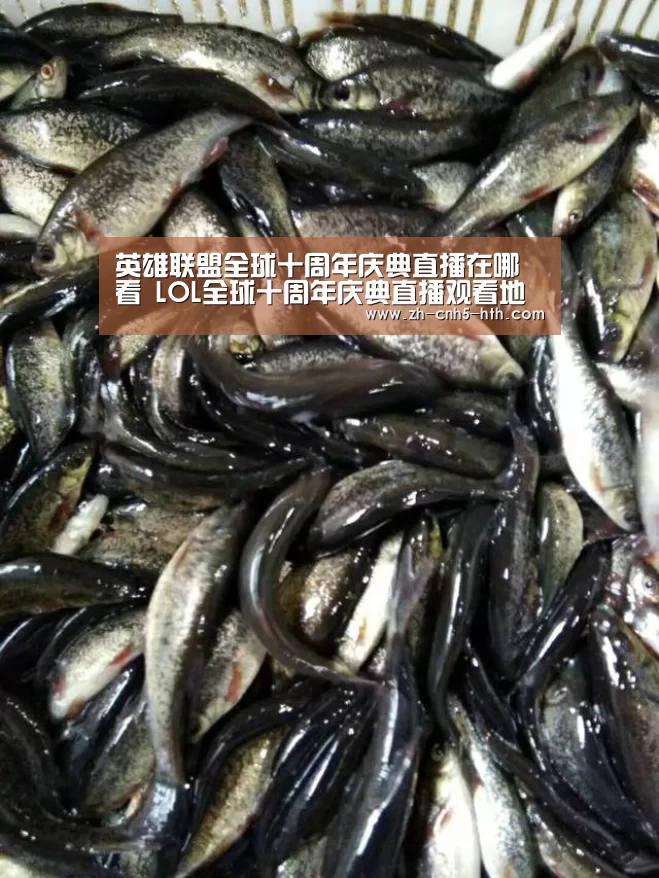 英雄联盟全球十周年庆典直播在哪看 LOL