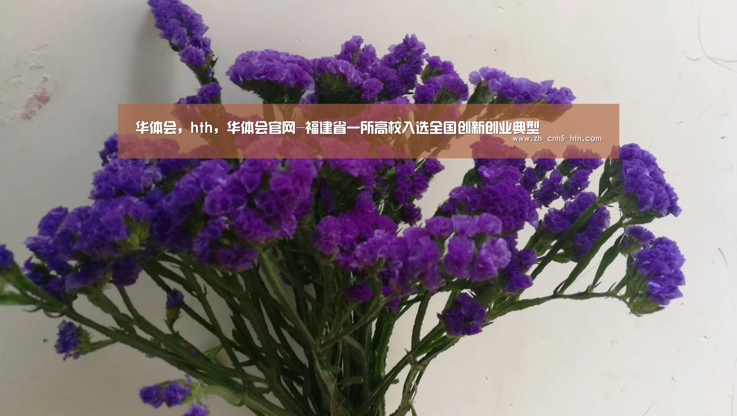 华体会，hth，华体会官网